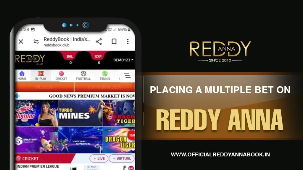 How to Place Bets on Reddy Anna Book